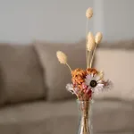 公寓 Callas 科斯镇