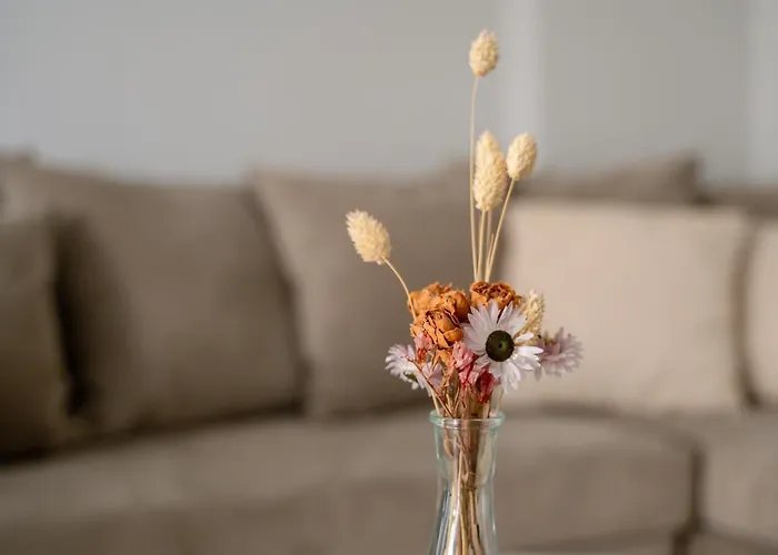 Apartment Callas Kos Town